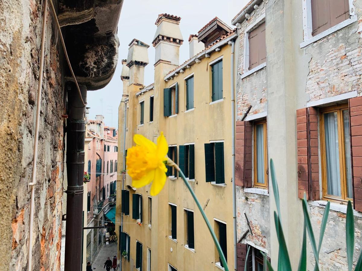 Rooftop Terrace Domus Dei Fabbri Venesia Bagian luar foto