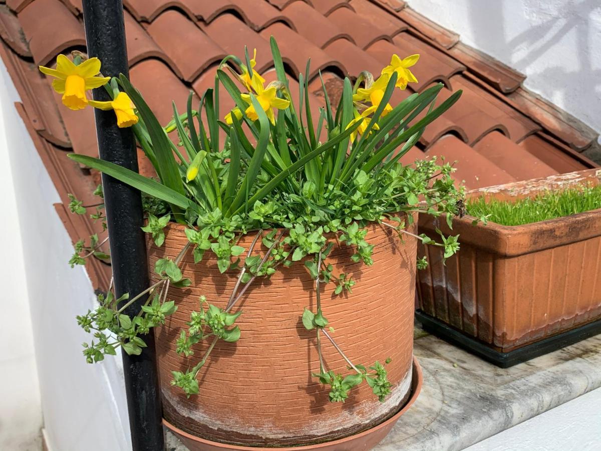 Rooftop Terrace Domus Dei Fabbri Venesia Bagian luar foto