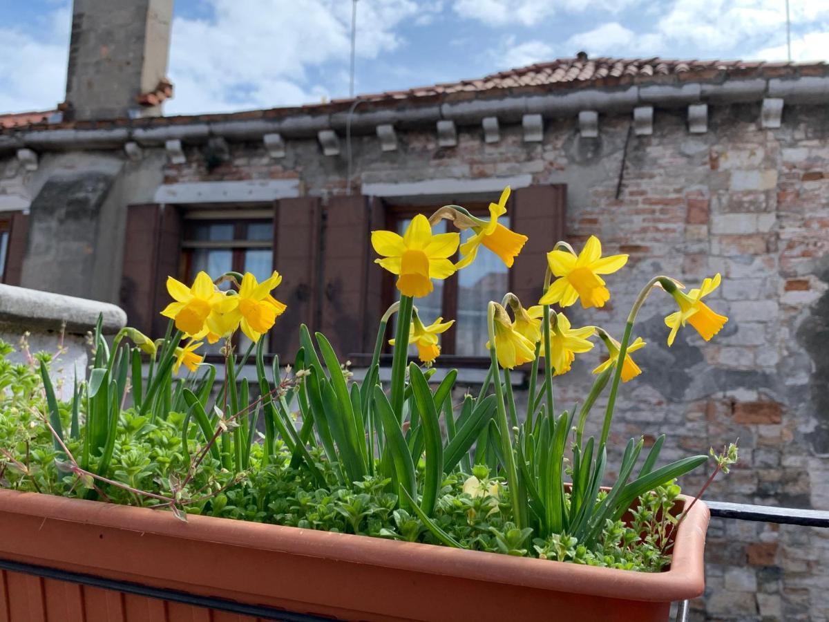 Rooftop Terrace Domus Dei Fabbri Venesia Bagian luar foto